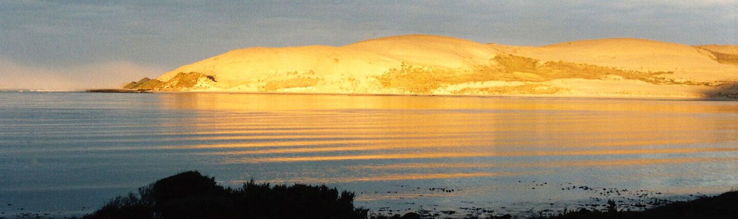 Hokianga Haven