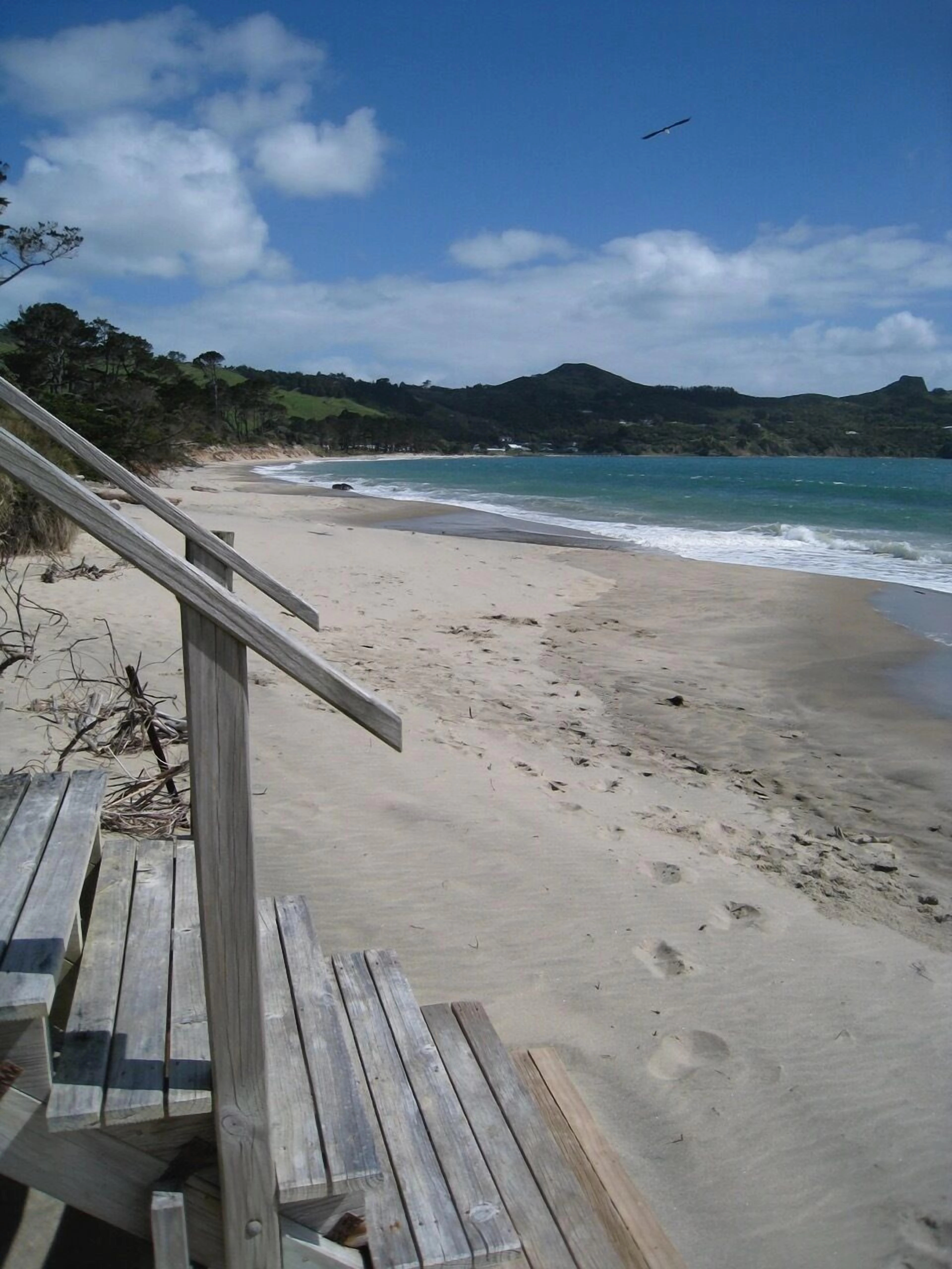 Hokianga Haven