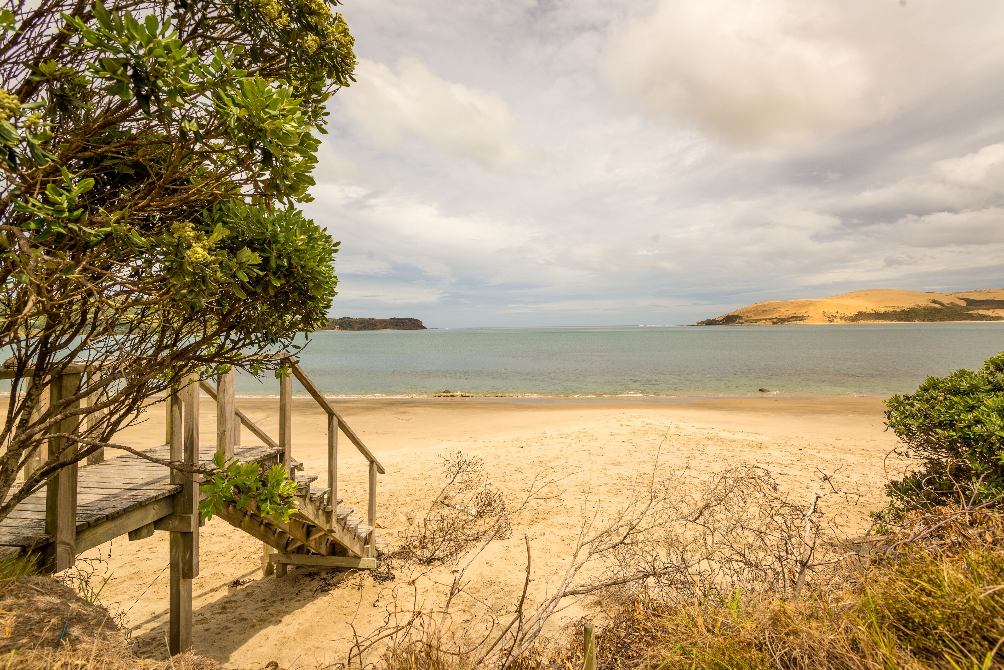 Hokianga Haven