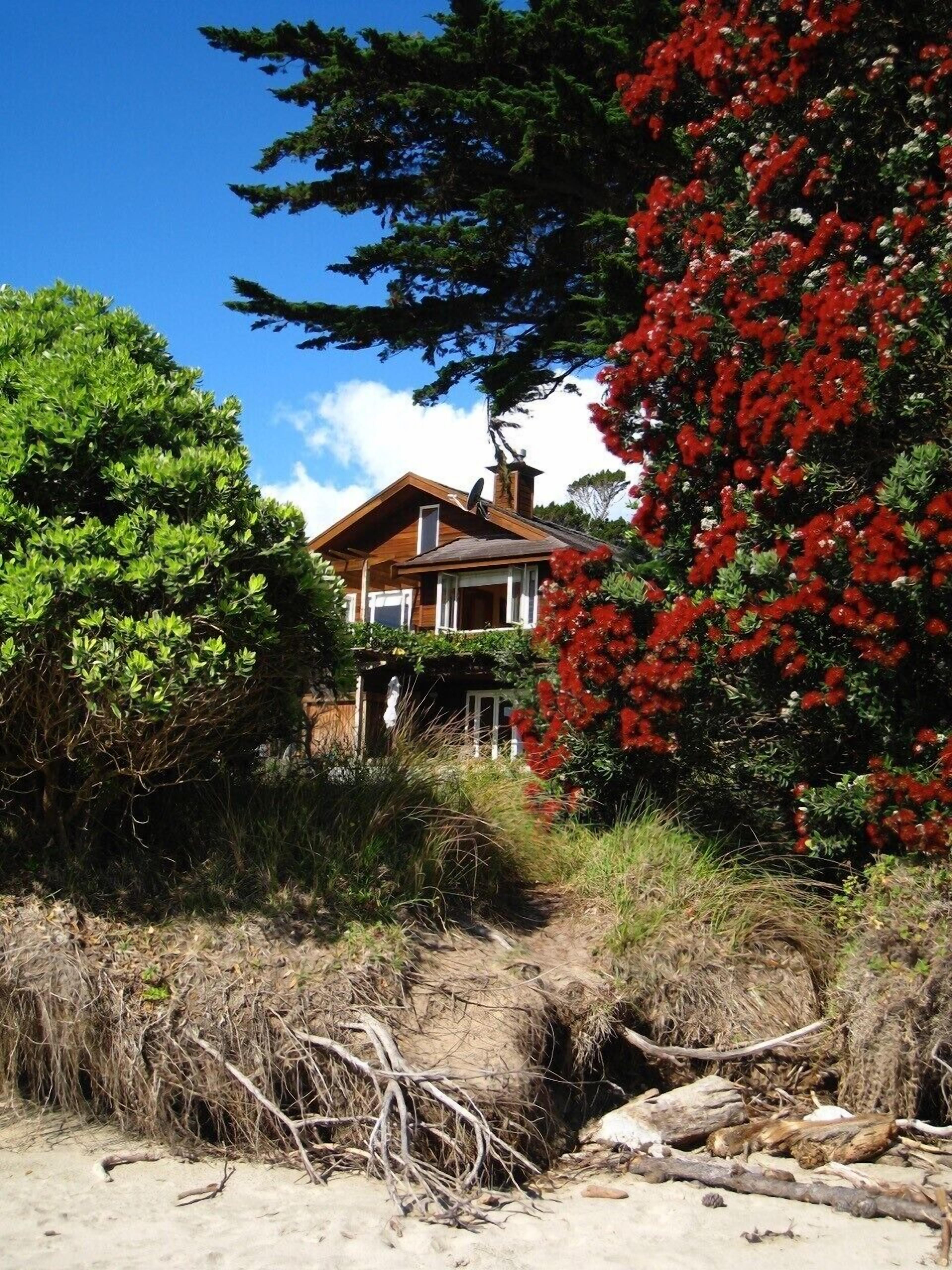 Hokianga Haven