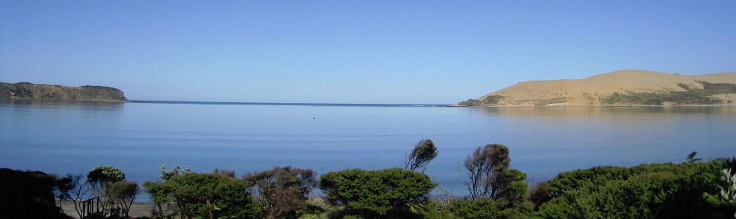 Hokianga Haven