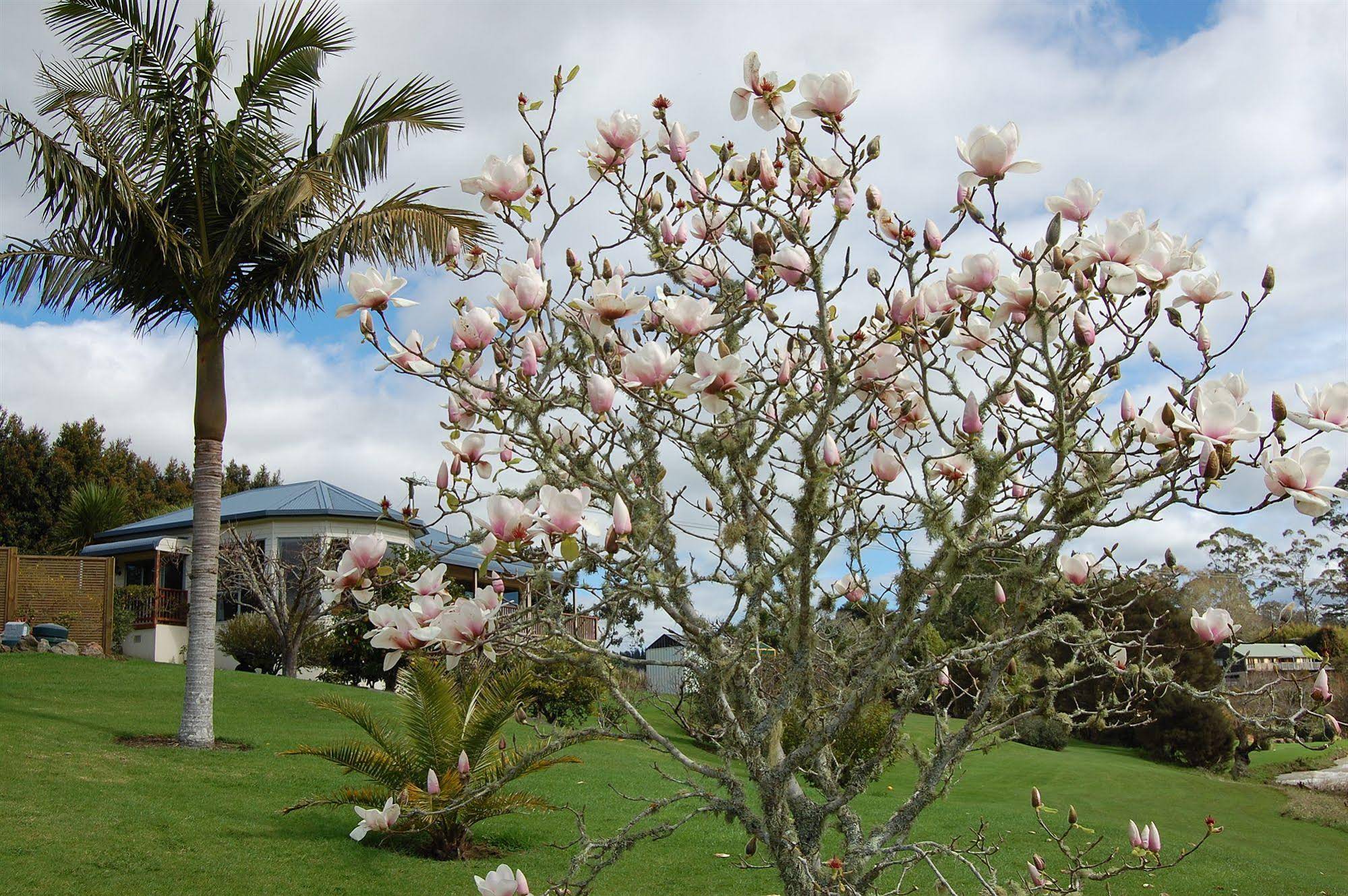 Te Awa Lodge