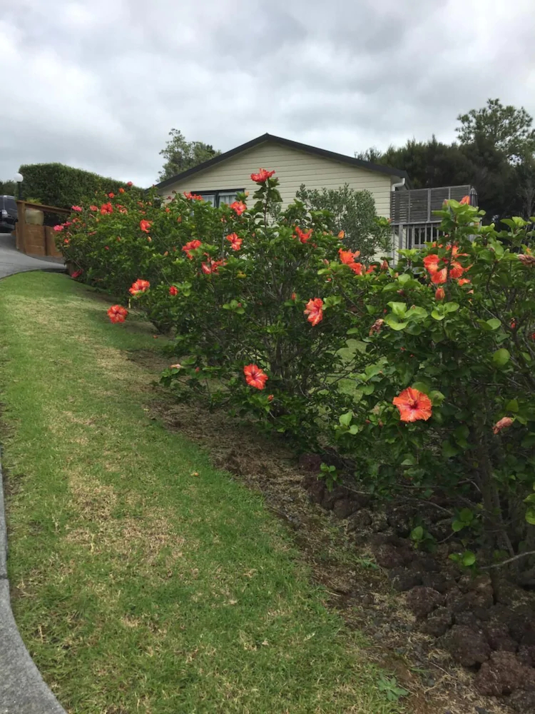 Sunseeker Cottages Motel