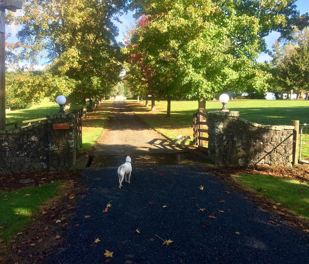 Tokanui Country Lodge