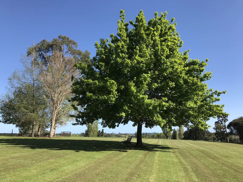 Tokanui Country Lodge