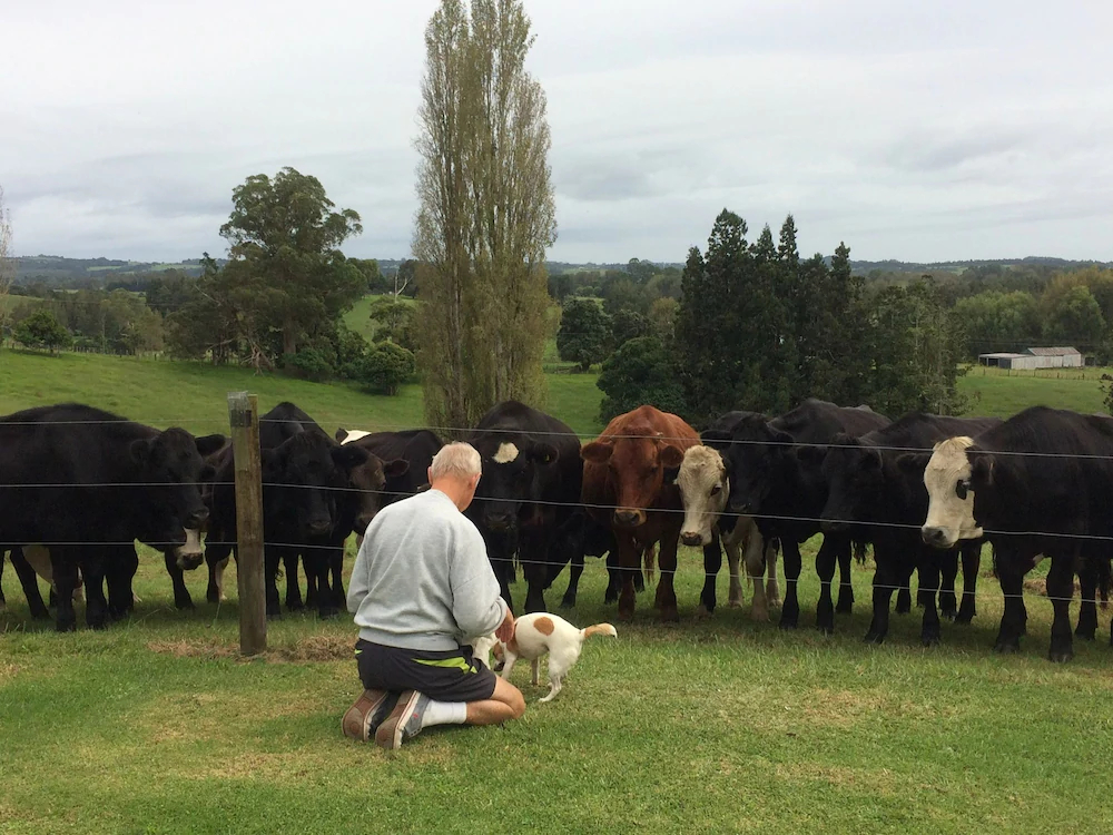 Tokanui Country Lodge