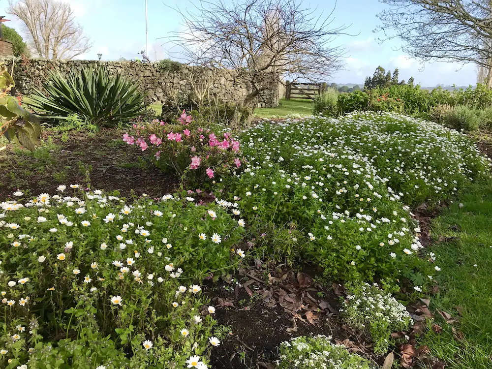 Tokanui Country Lodge
