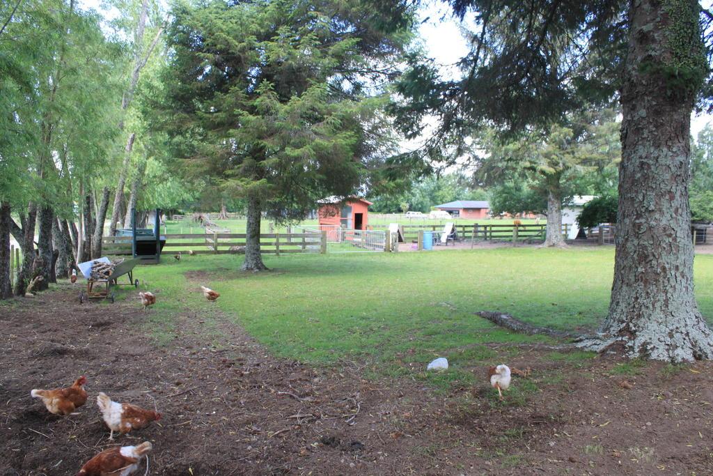 436 Rotorua Hideaway Lodge