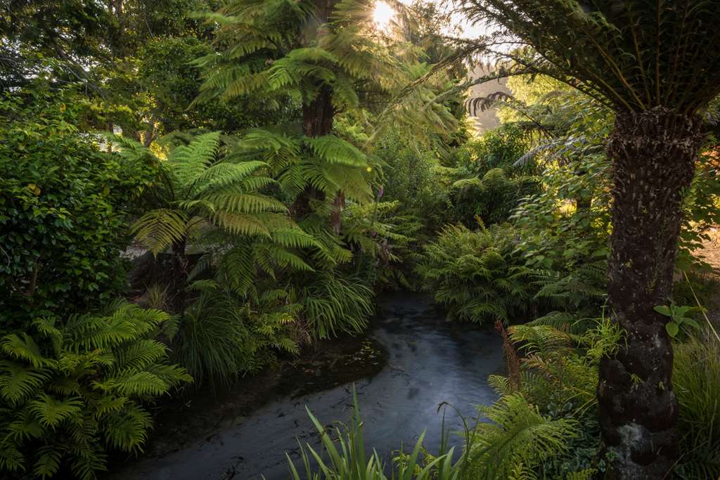 Best Western Braeside Rotorua