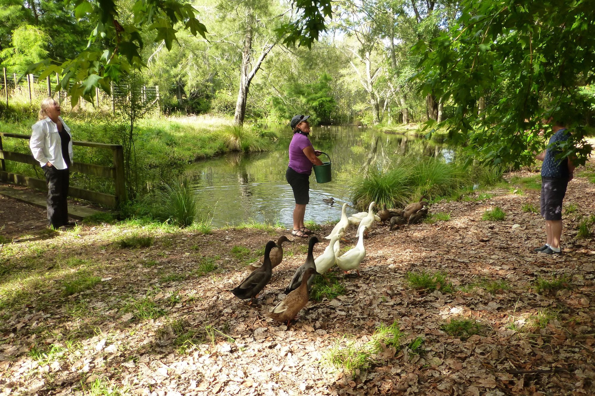 Mokoia Downs B&B