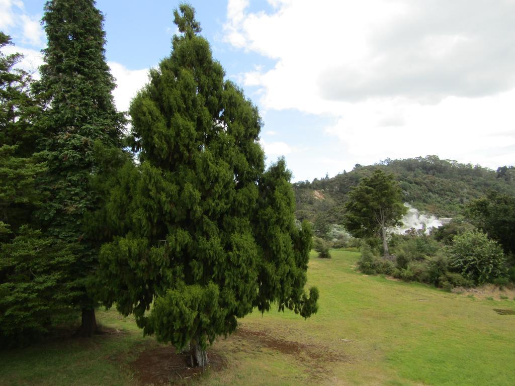 Pohutu Lodge