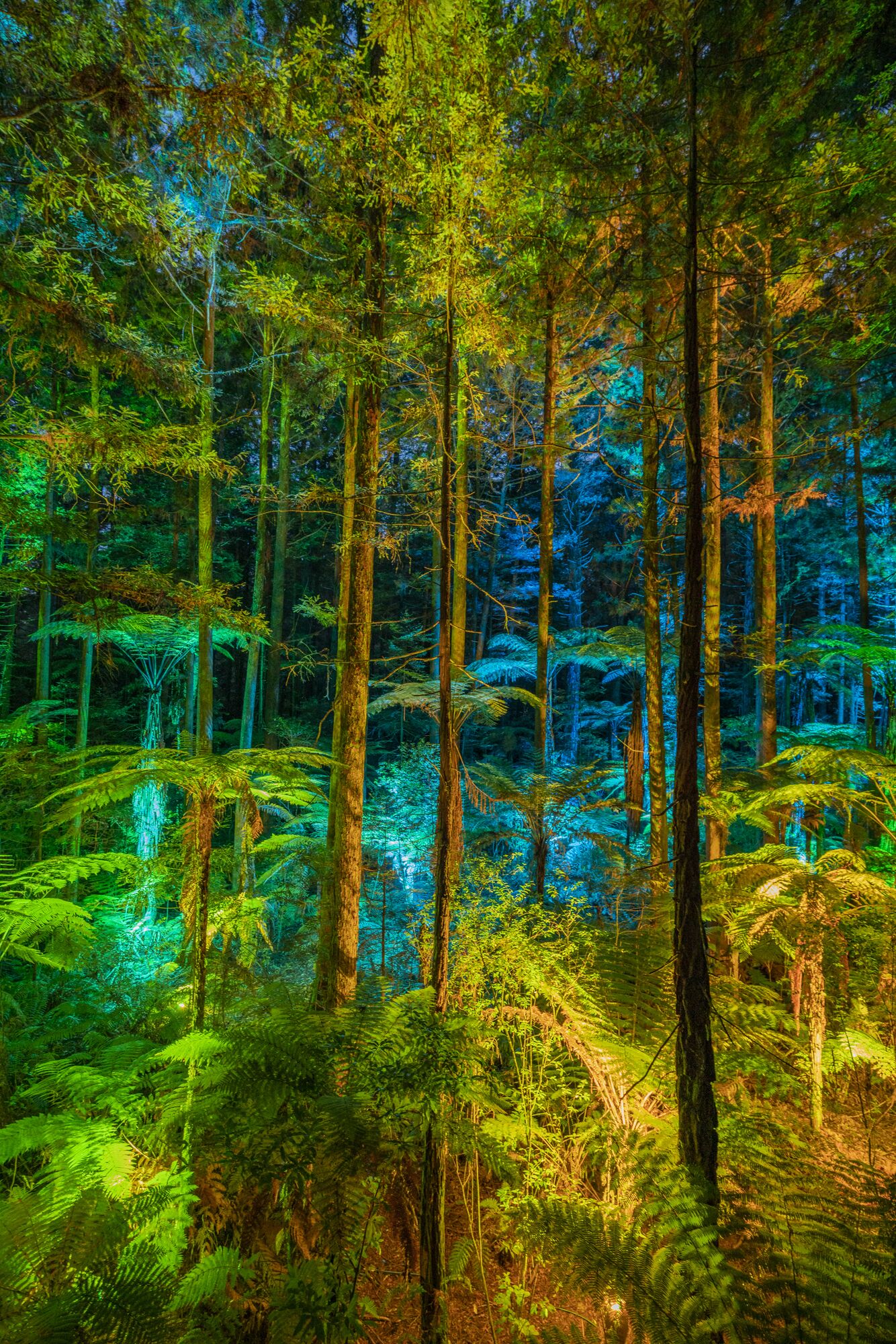 Silver Fern Rotorua Suites & Spa