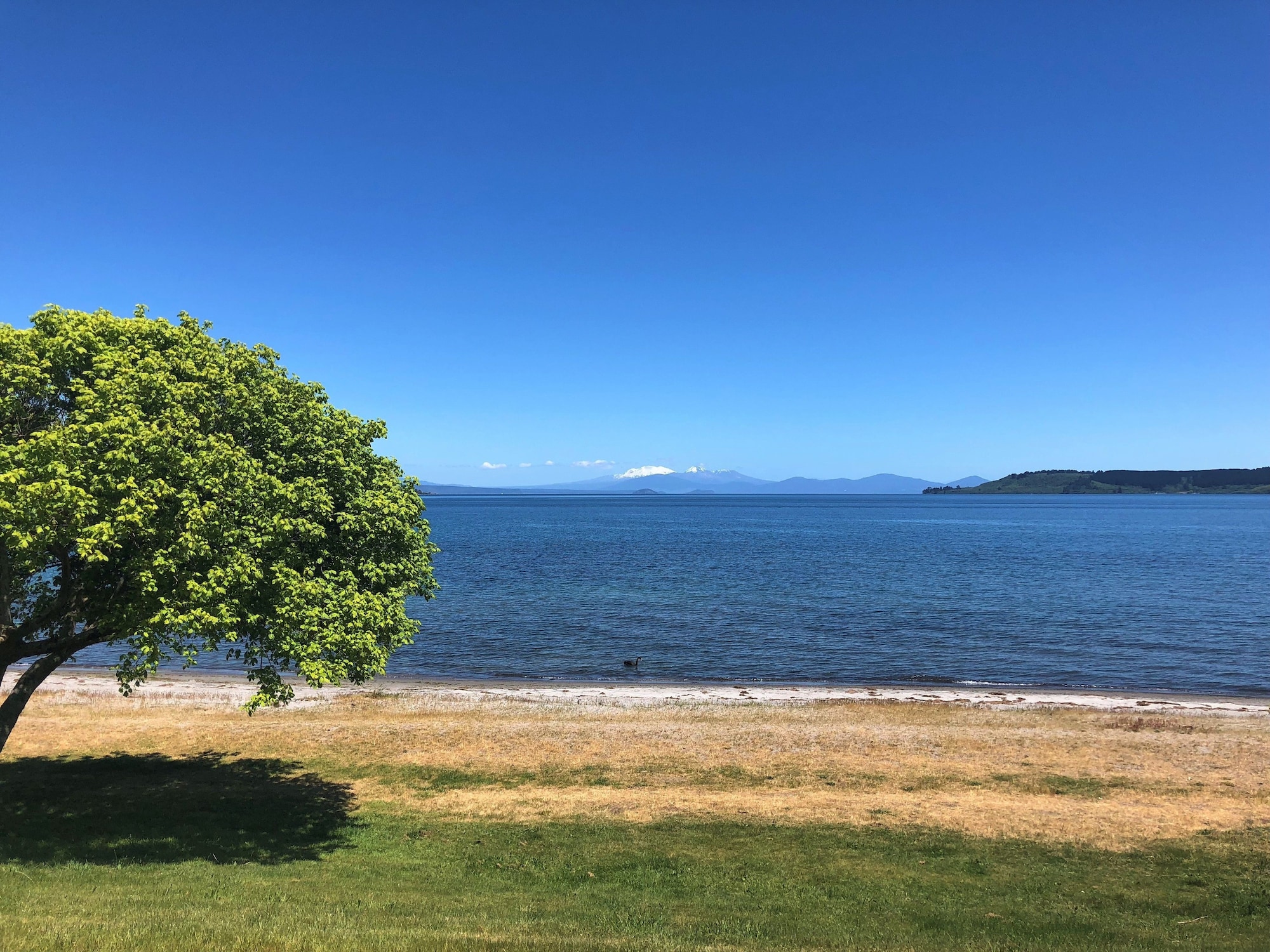 One Ten Lake Terrace Taupo