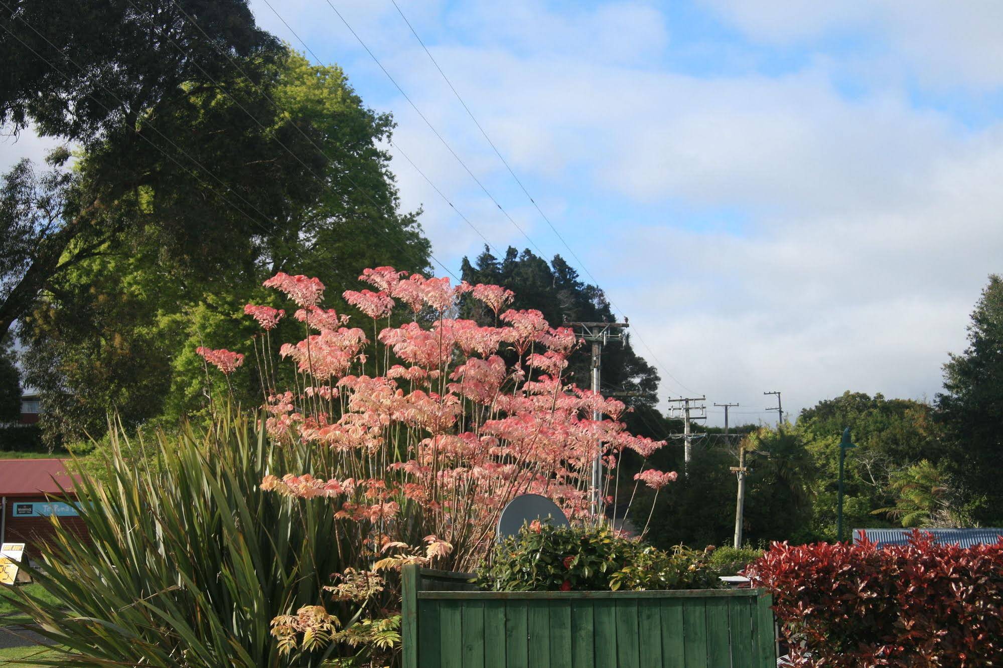 Accommodation Te Puna