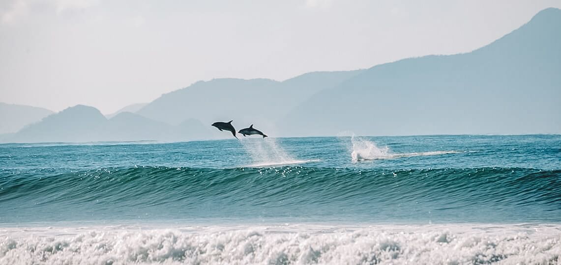 Aotearoa Surf Eco Pods