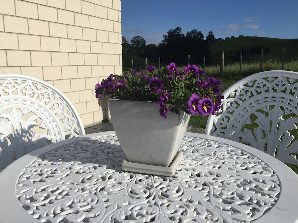 Veld View Bed and Breakfast
