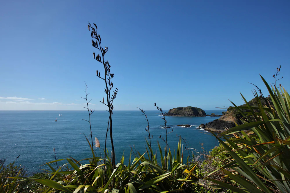 Pacific Rendezvous
