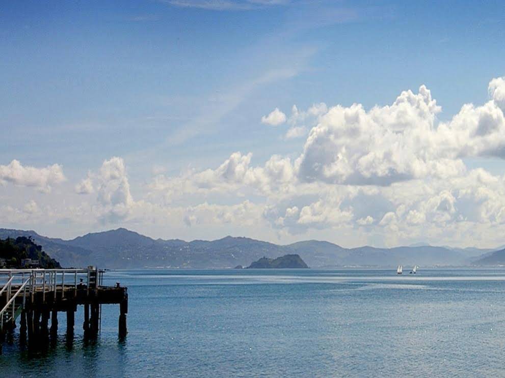 Beachfront Wellington Bed & Breakfast