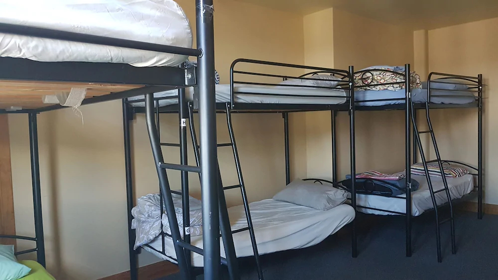 Wild Zebra Backpackers