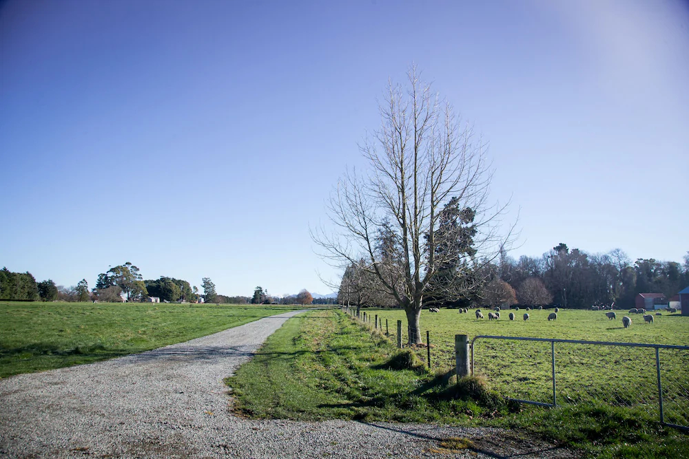 Coldstream Estate-The Whare