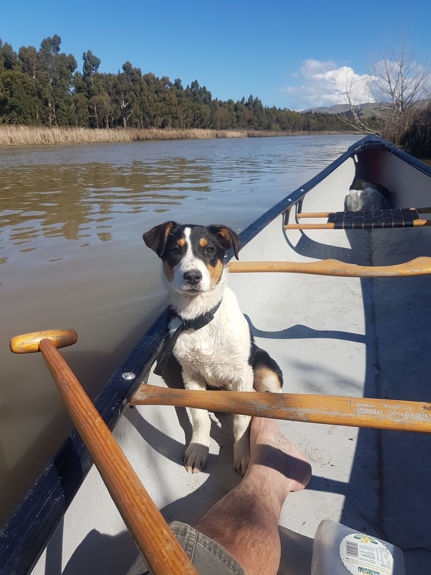 Driftwood Retreat And Eco Tours