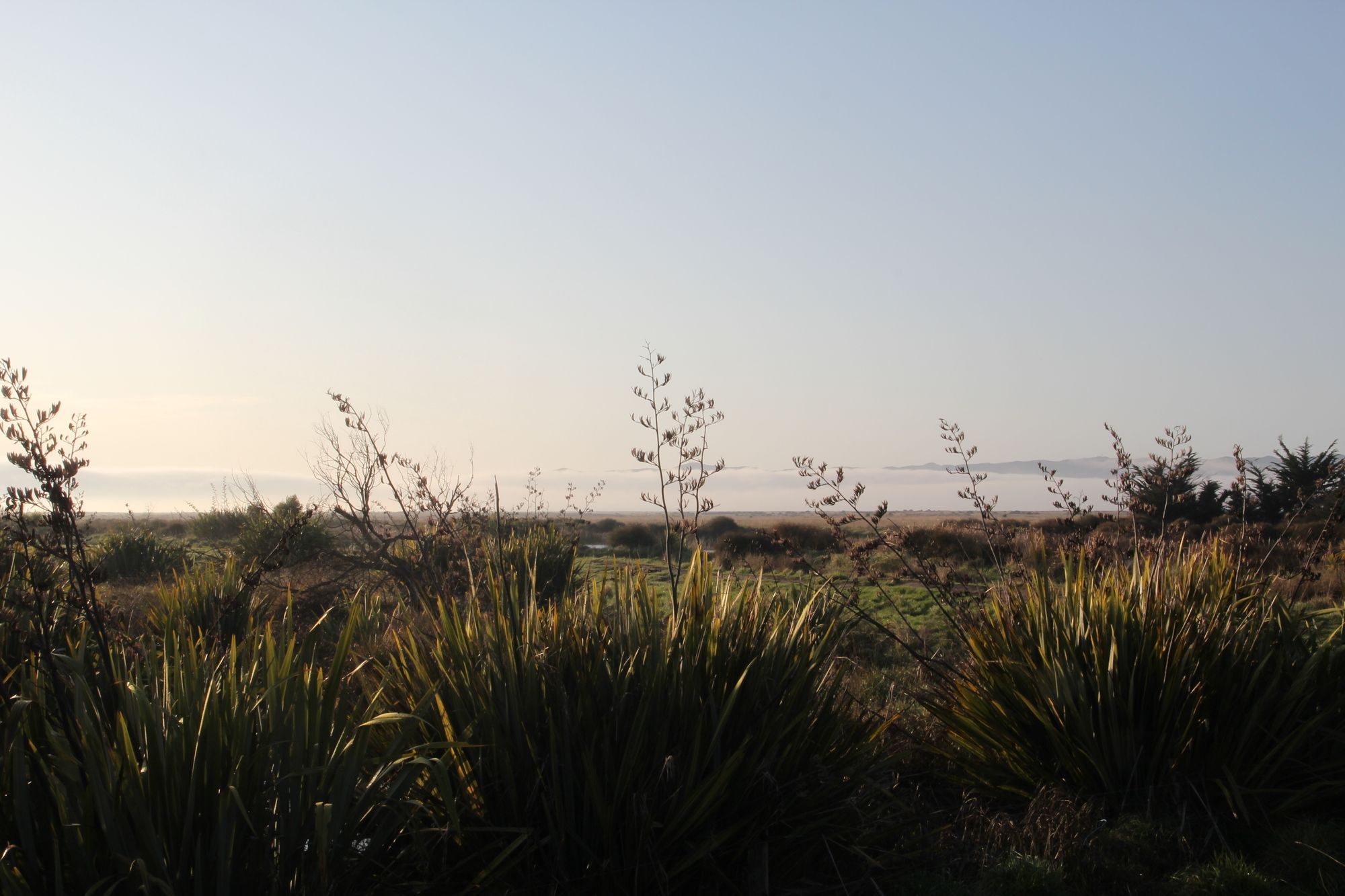 Driftwood Retreat And Eco Tours