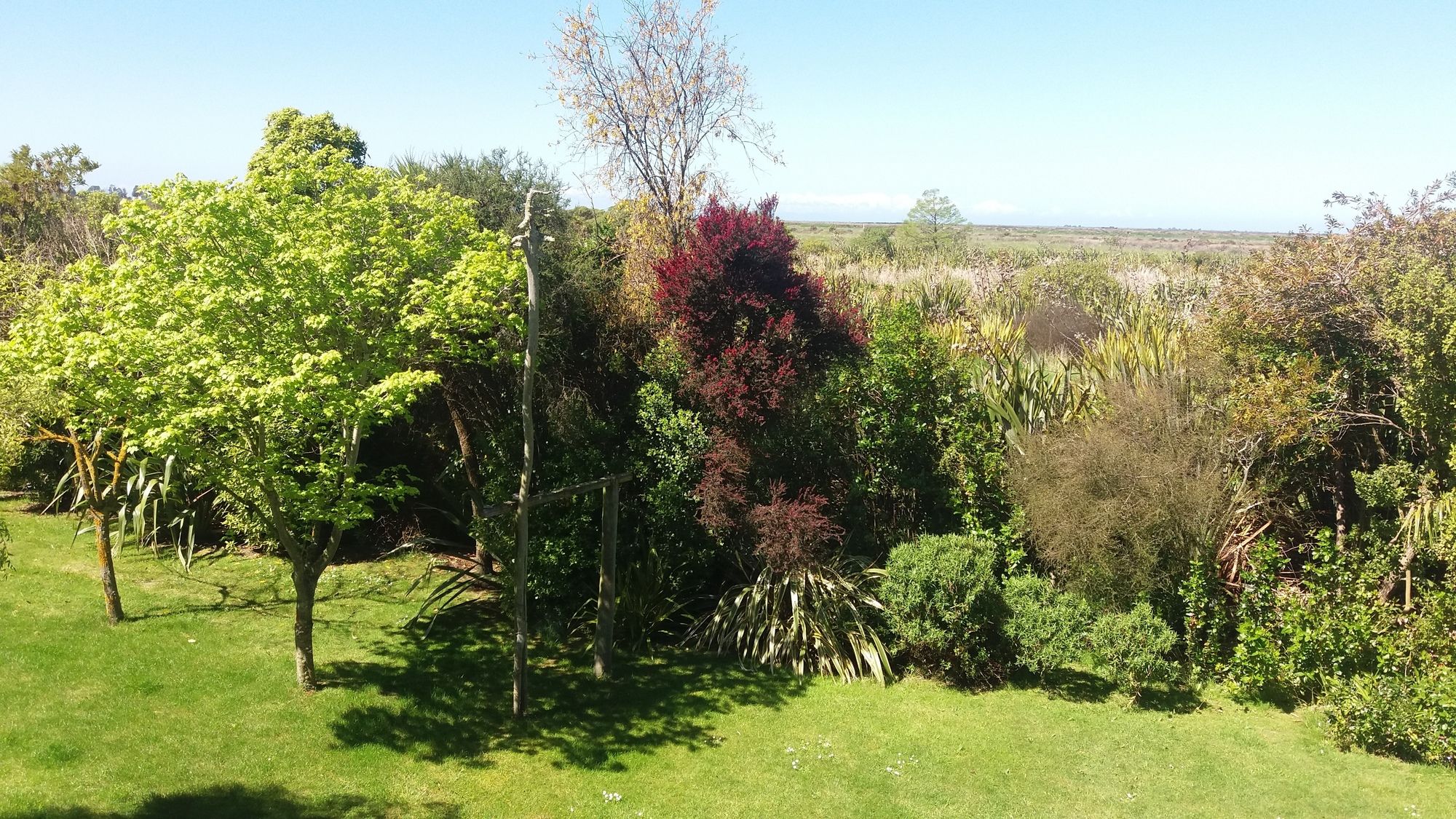 Driftwood Retreat And Eco Tours