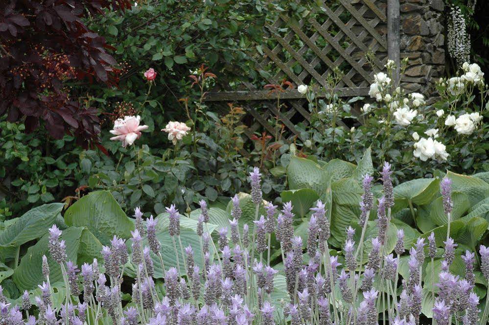 Stonehaven Homestay
