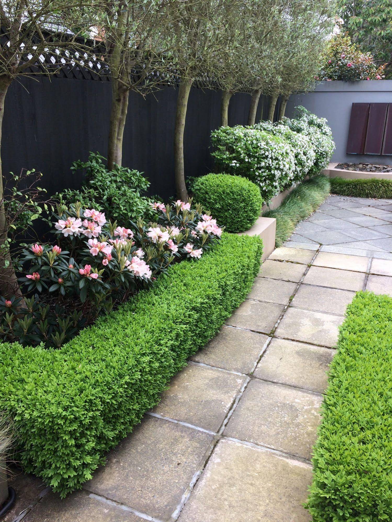 40 Thornycroft Street Bed & Breakfast