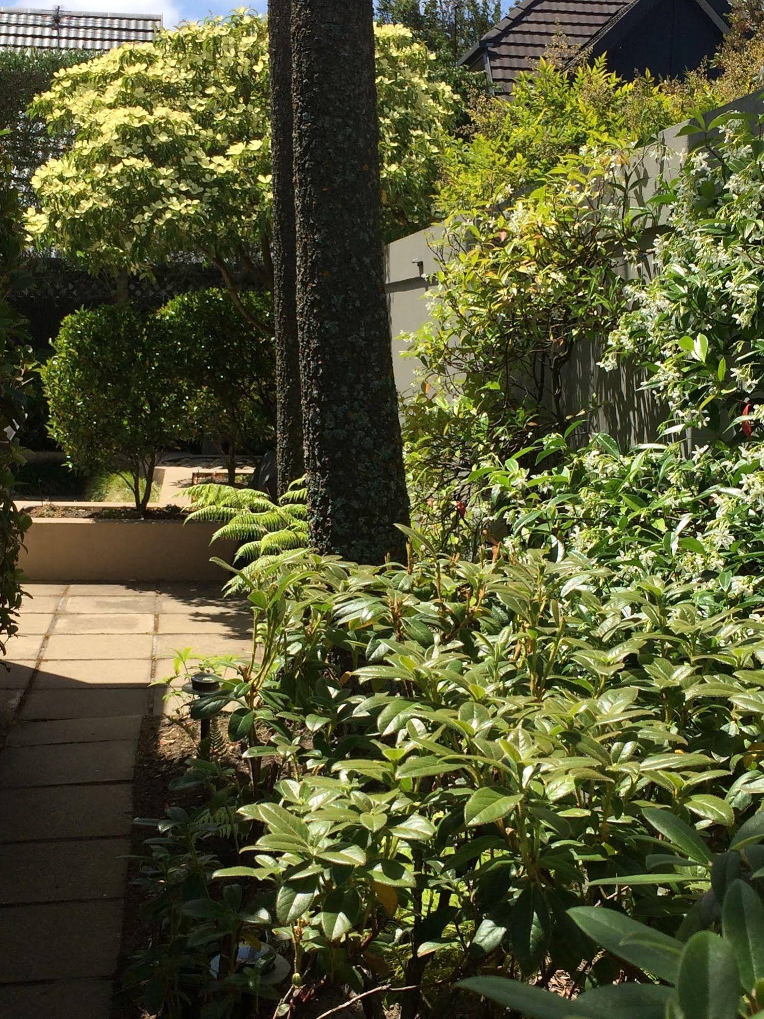40 Thornycroft Street Bed & Breakfast