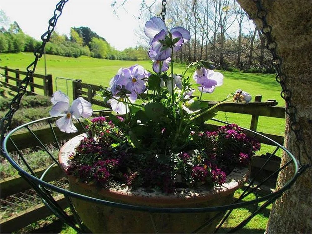 Christchurch City and Country Cottages