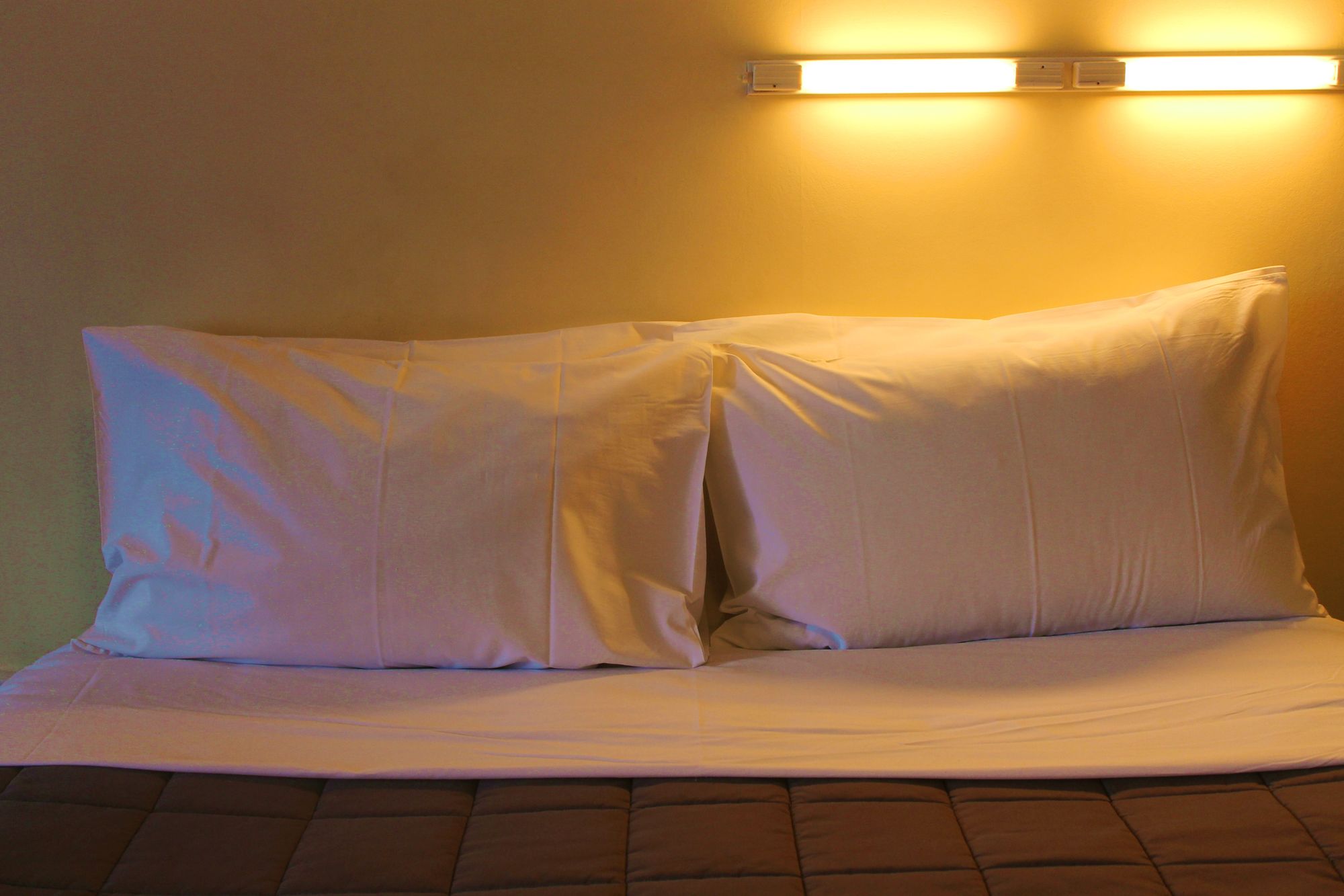 Ferry Motel