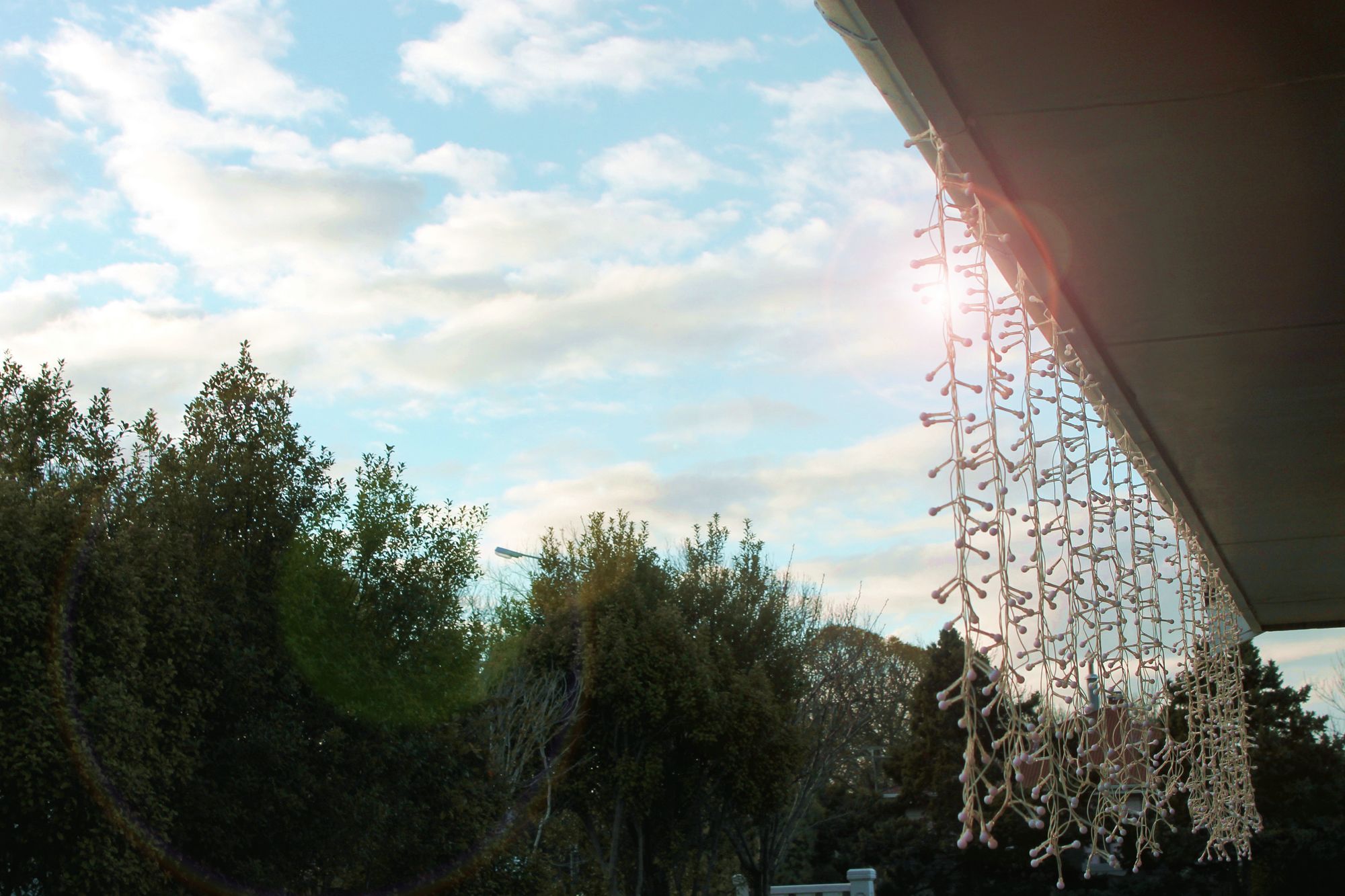 Ferry Motel