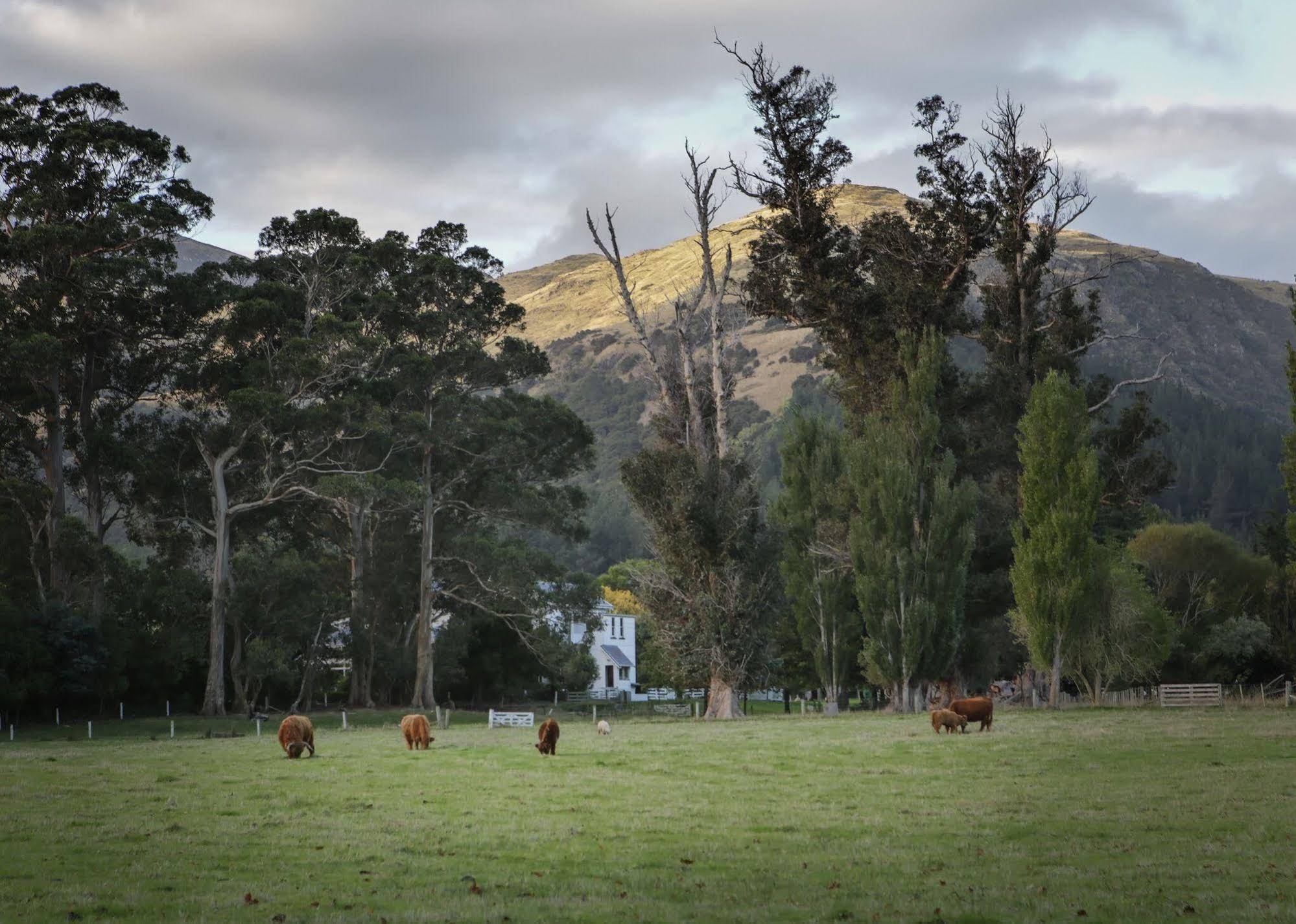 Kaituna Valley Homestead