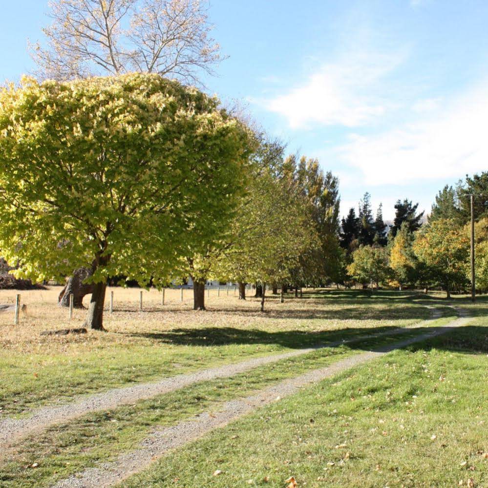 Kaituna Valley Homestead