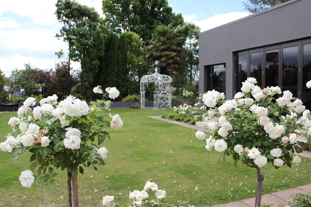 Hotel Elms Christchurch Ascend Hotel Collection