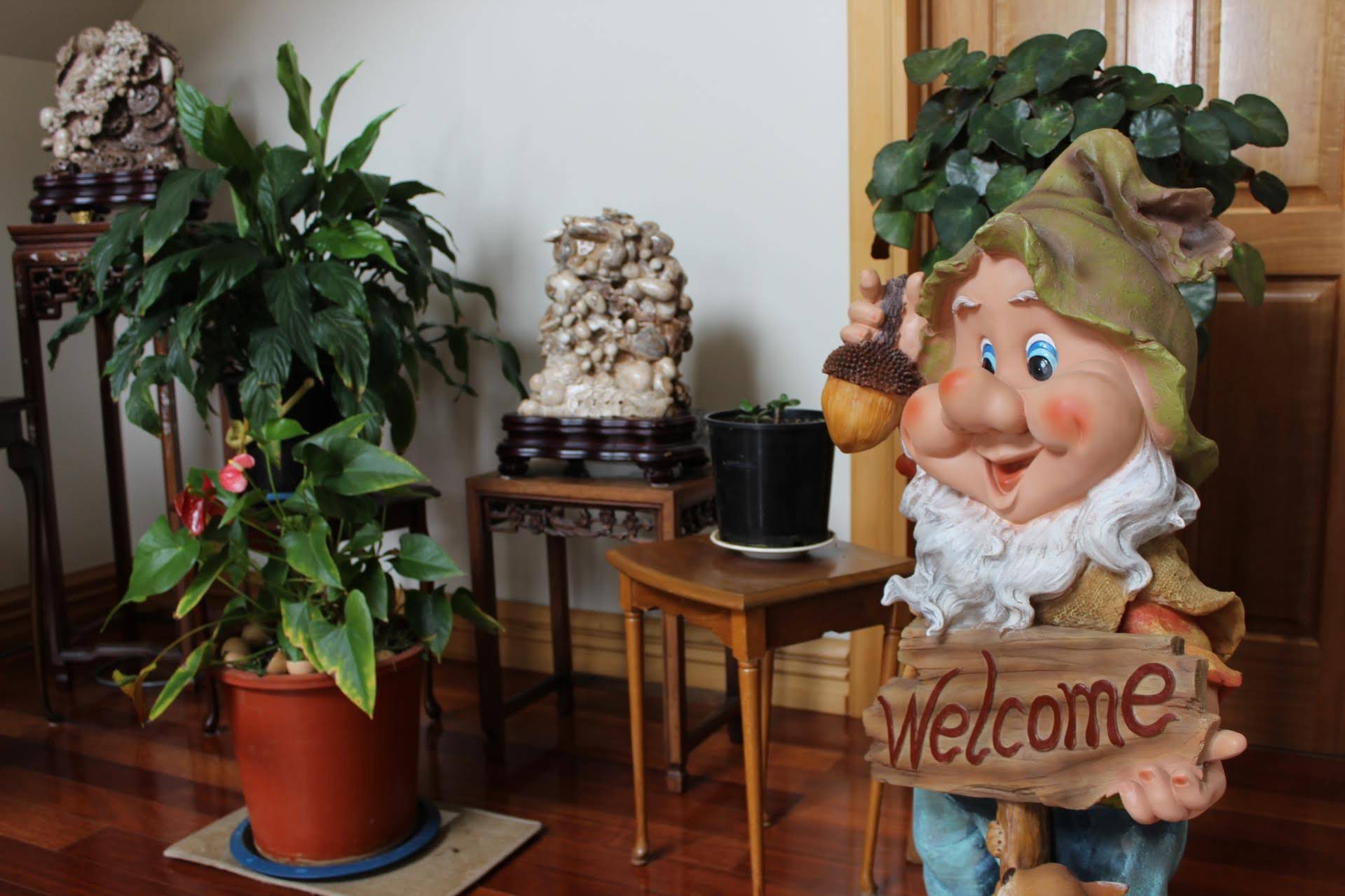 Shamrock Garden B&B Airport