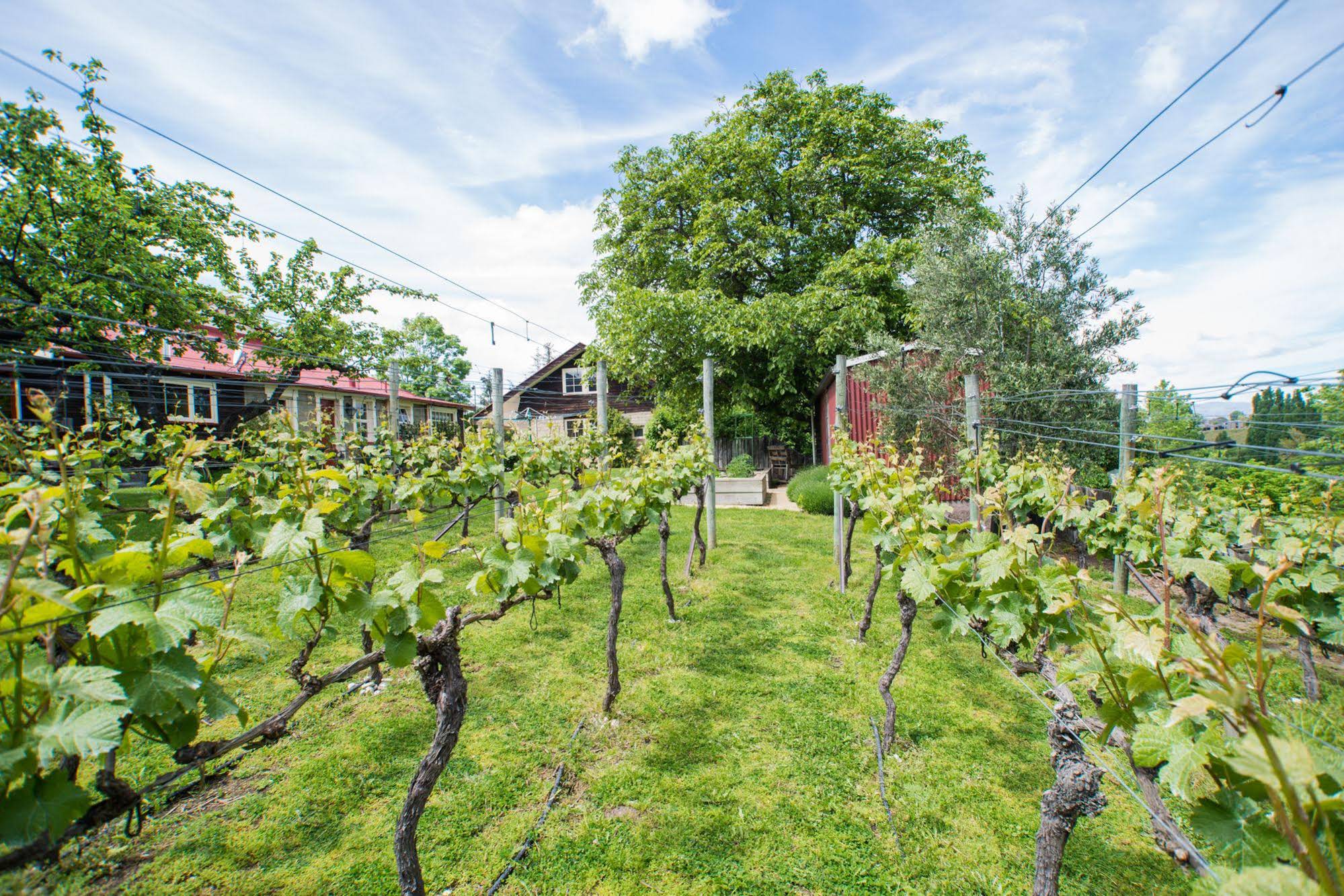 Hartley Homestead Boutique B and B