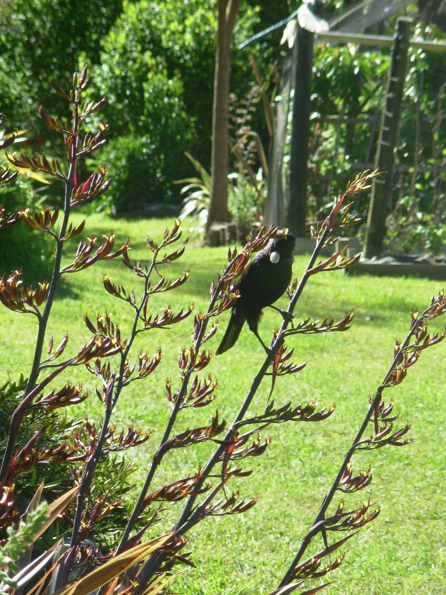 Wetland View Park