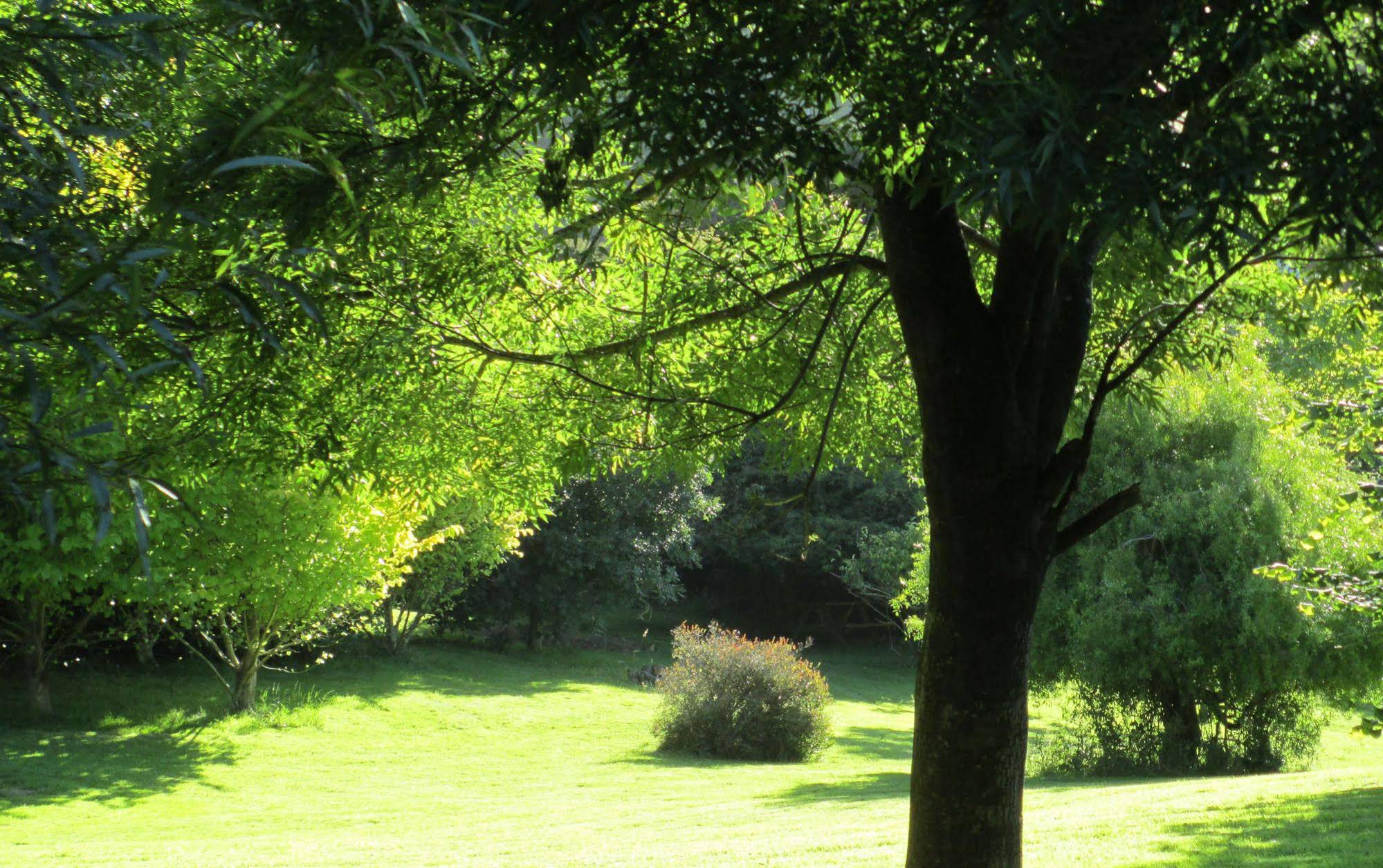 Leithview