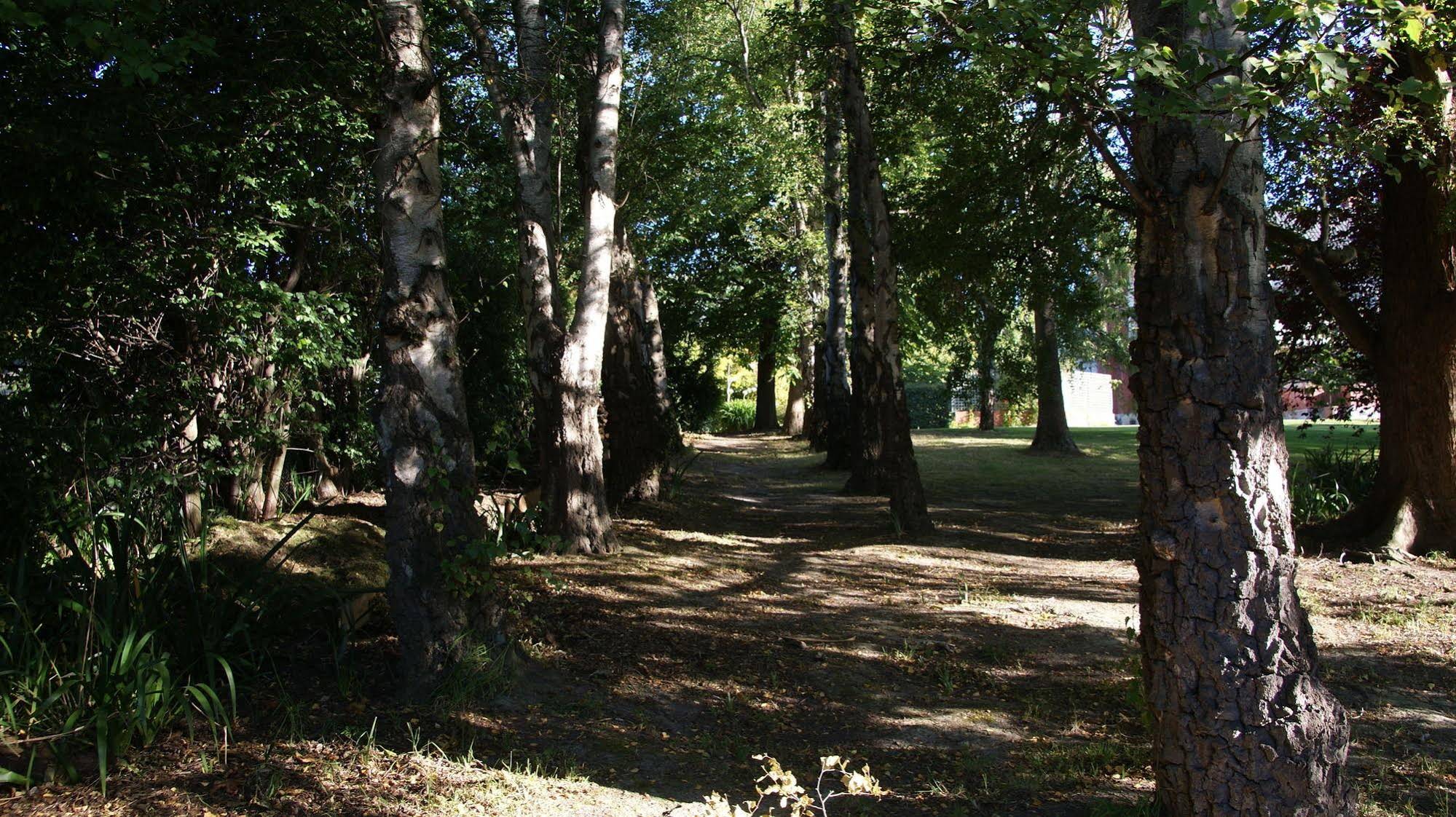 The Birches Bed & Breakfast