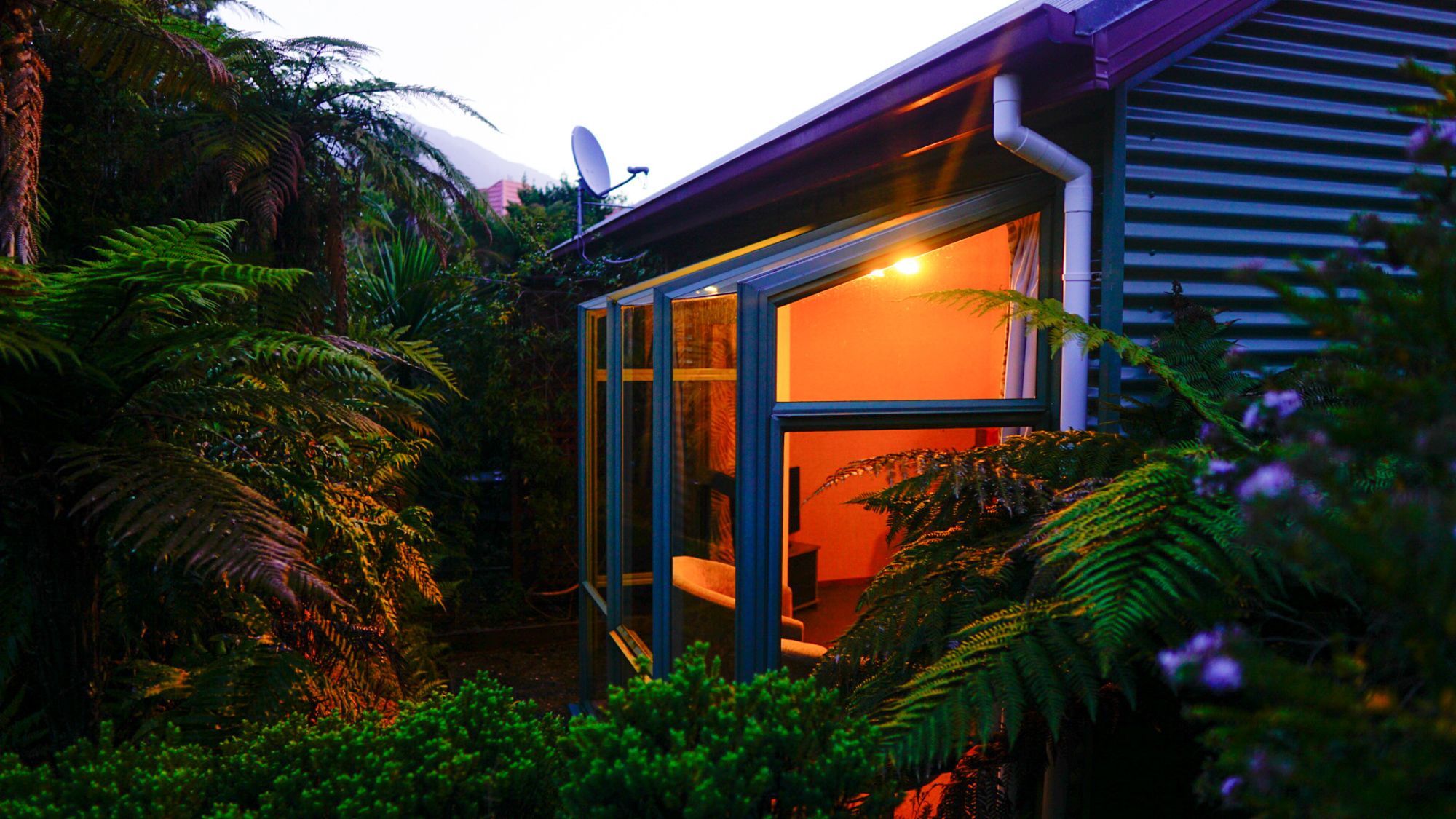 Punga Grove Motel & Suites
