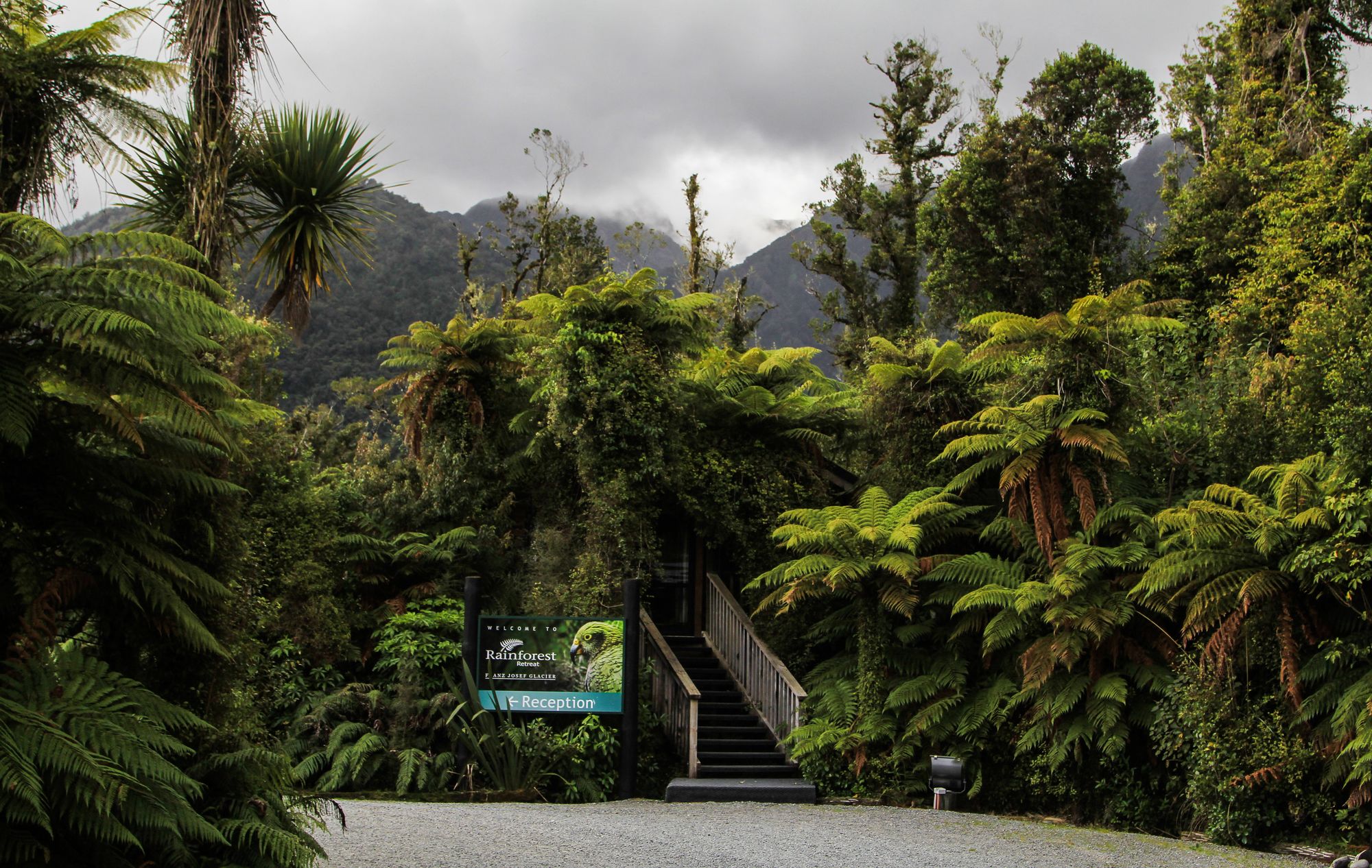 Rainforest Retreat