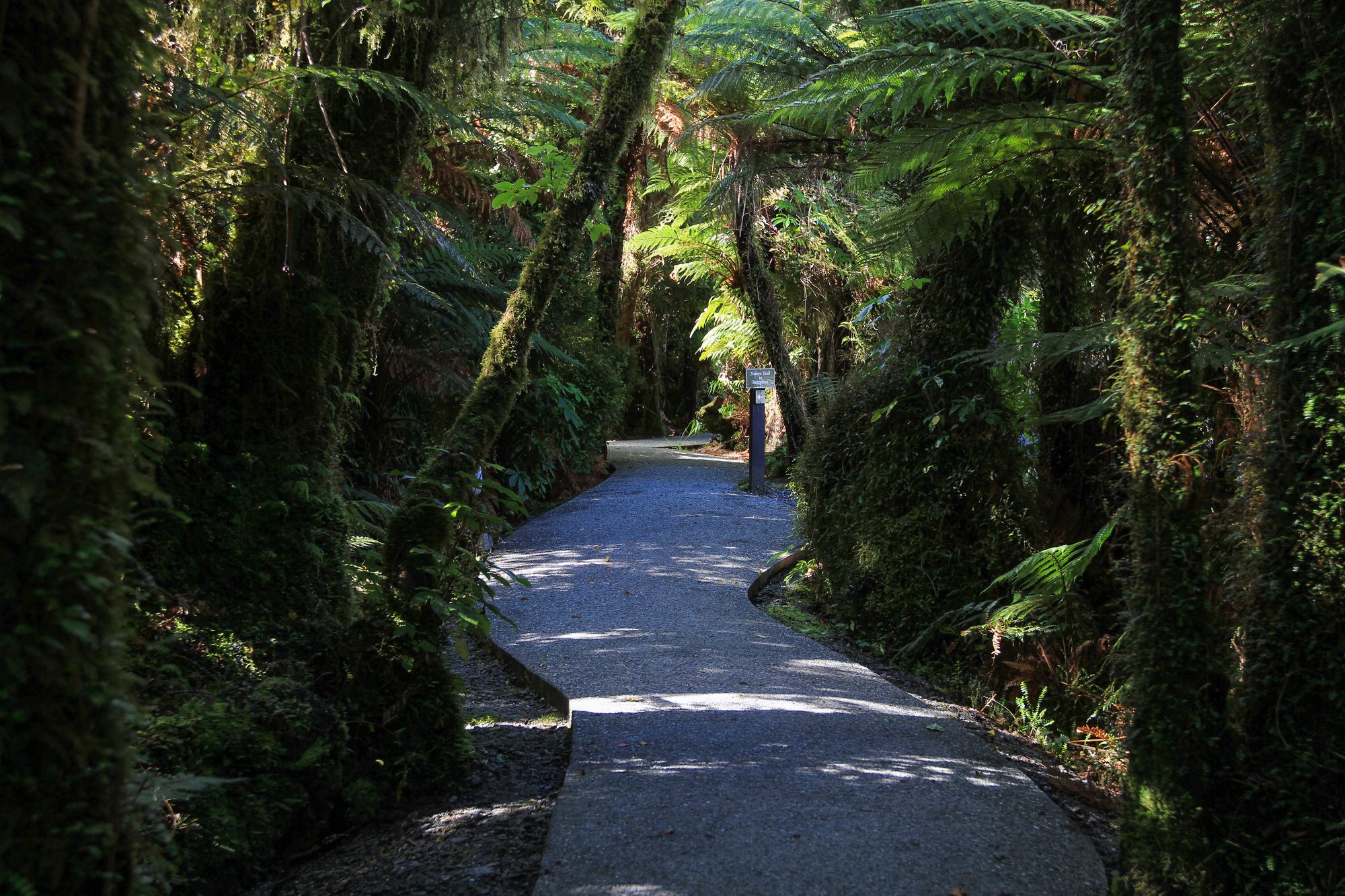 Rainforest Retreat