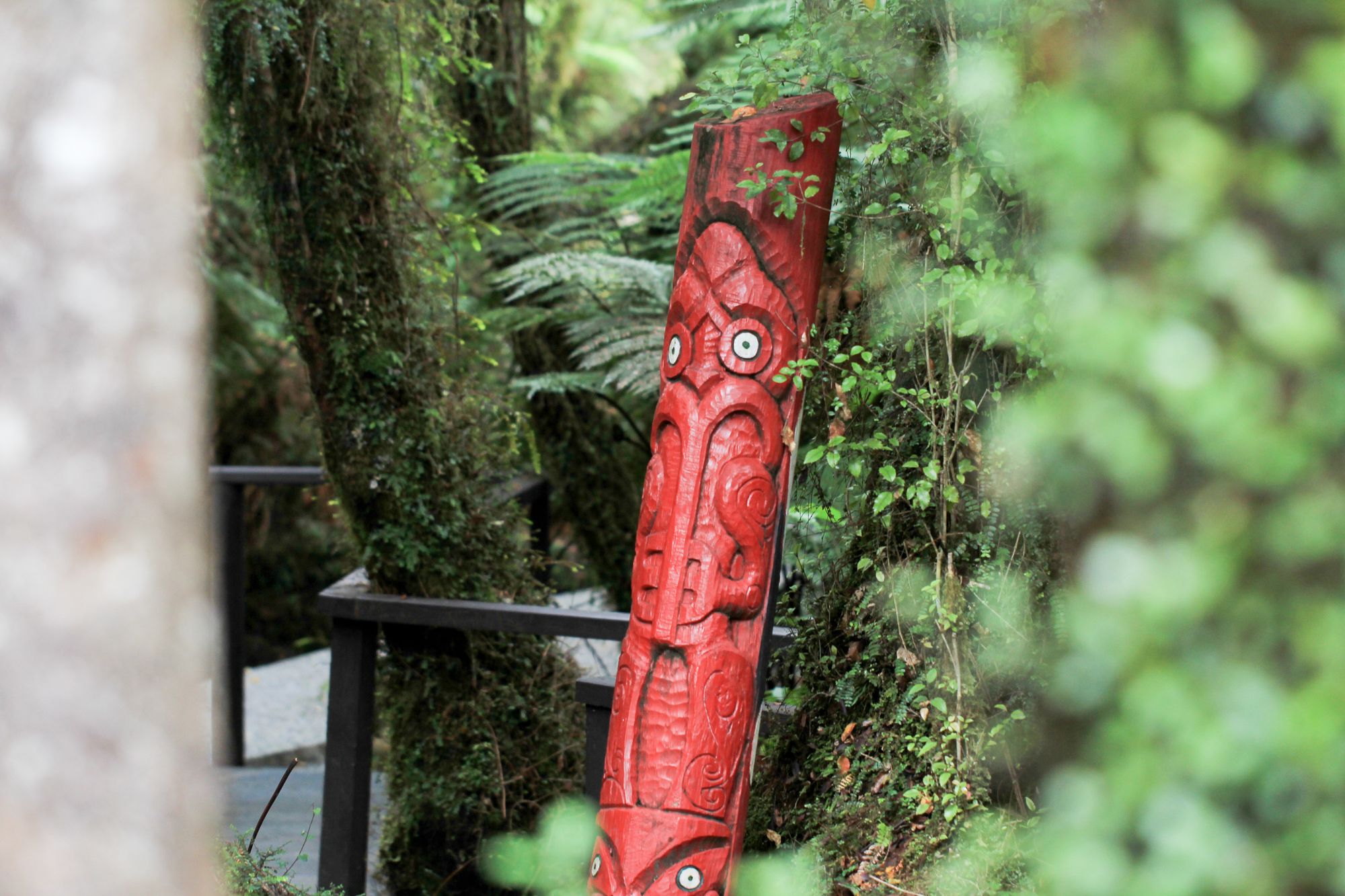 Rainforest Retreat