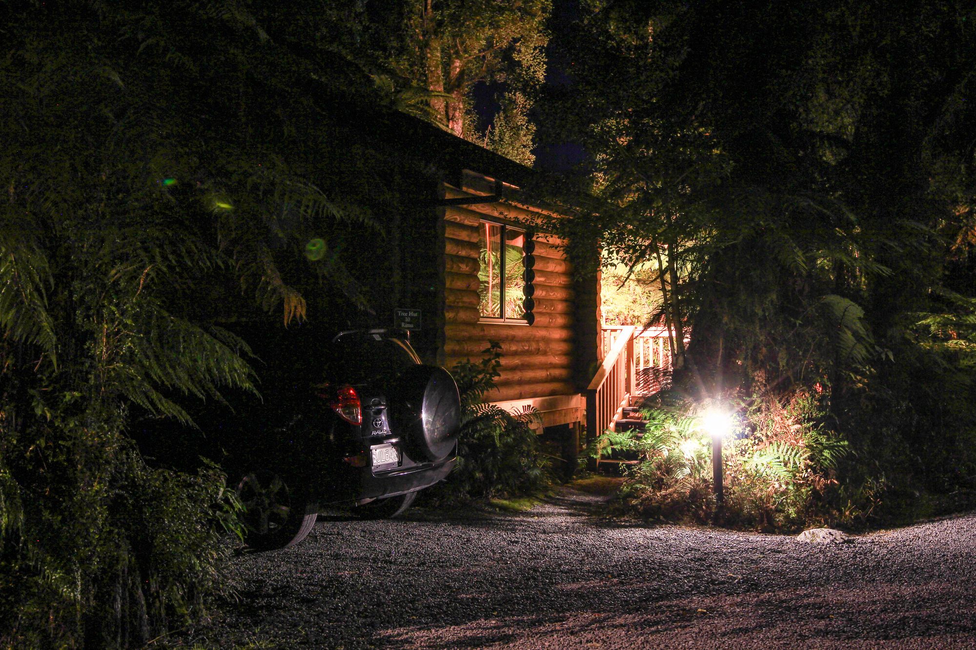 Rainforest Retreat