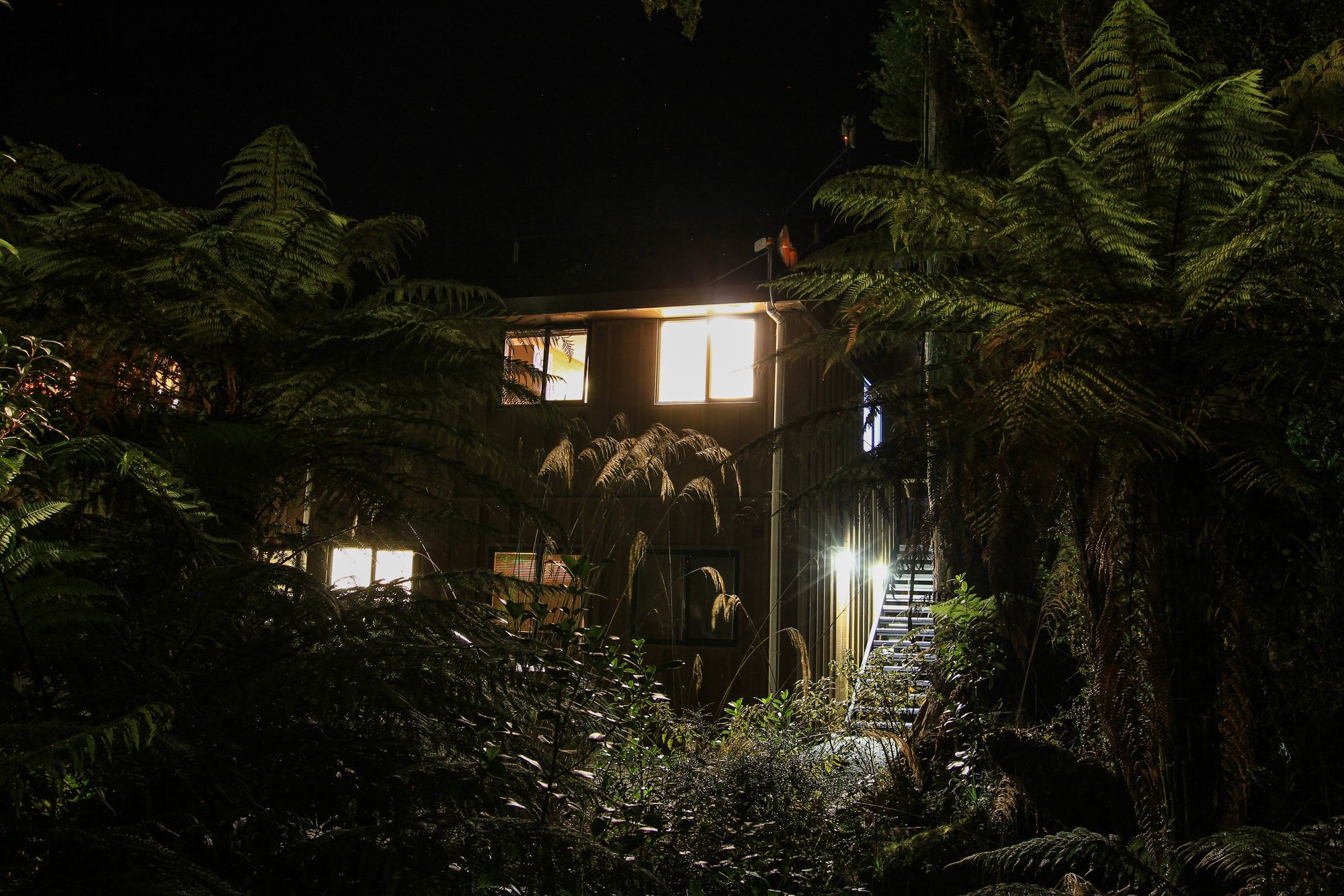 Rainforest Retreat