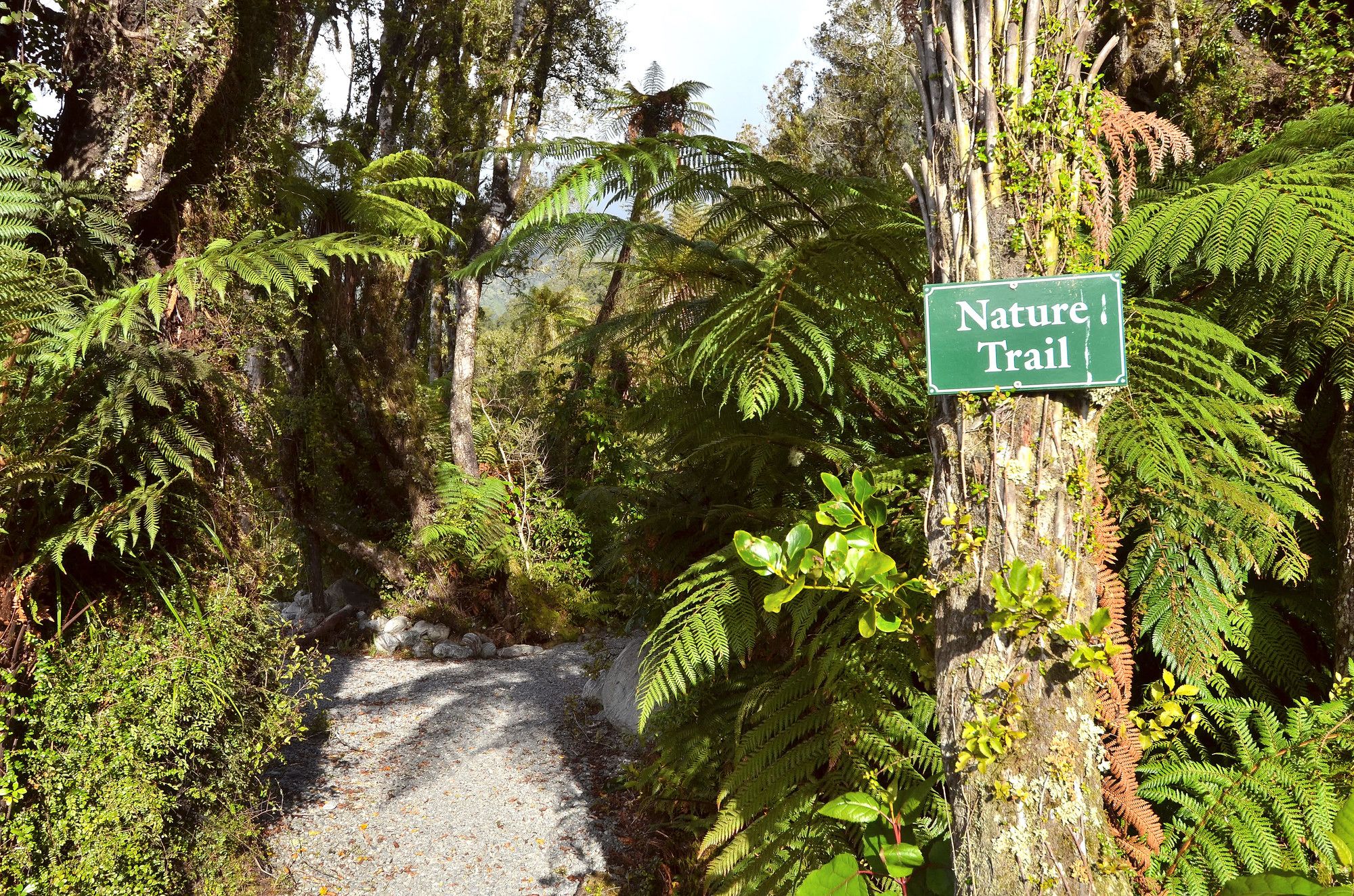 Rainforest Retreat