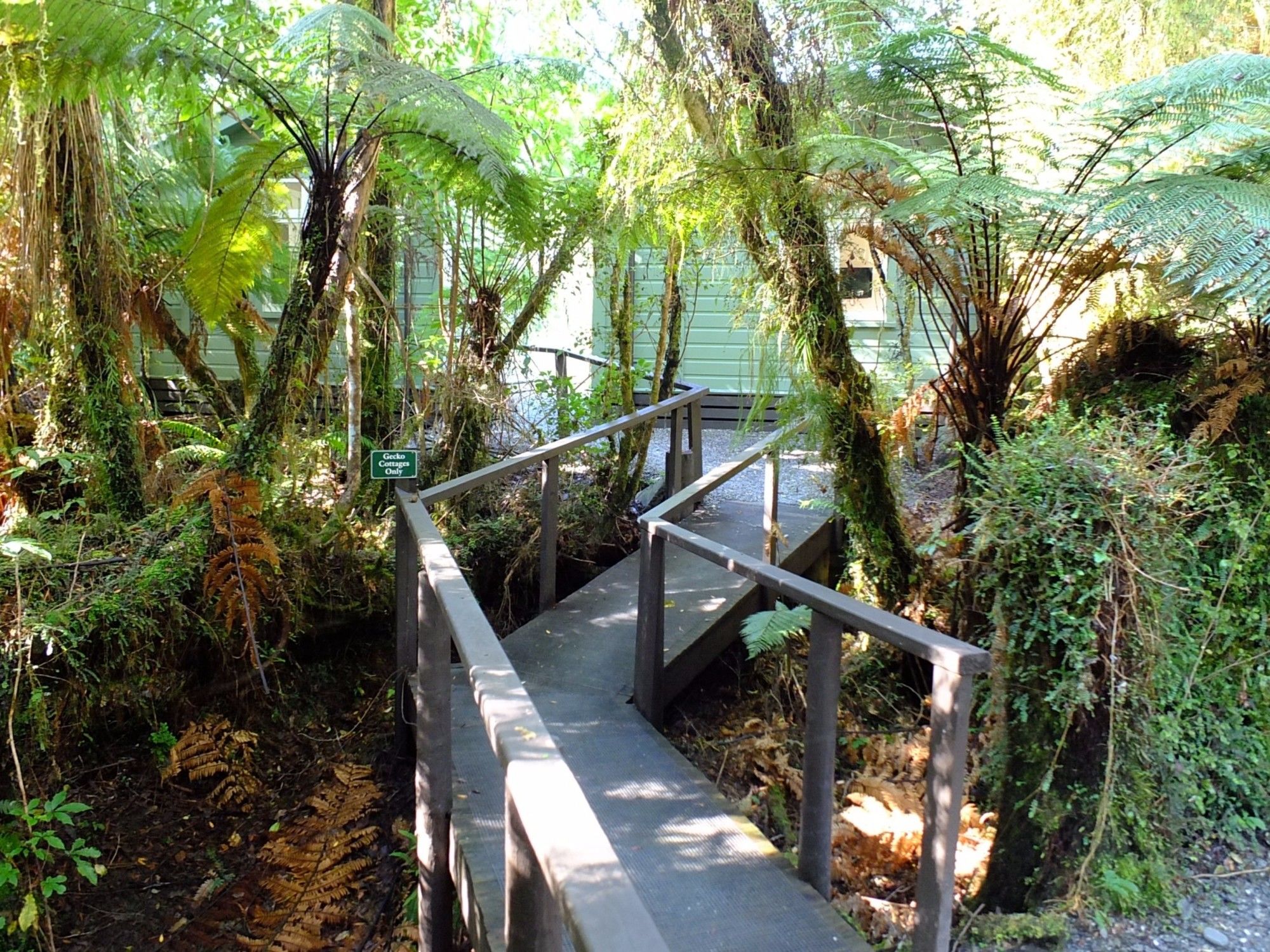 Rainforest Retreat