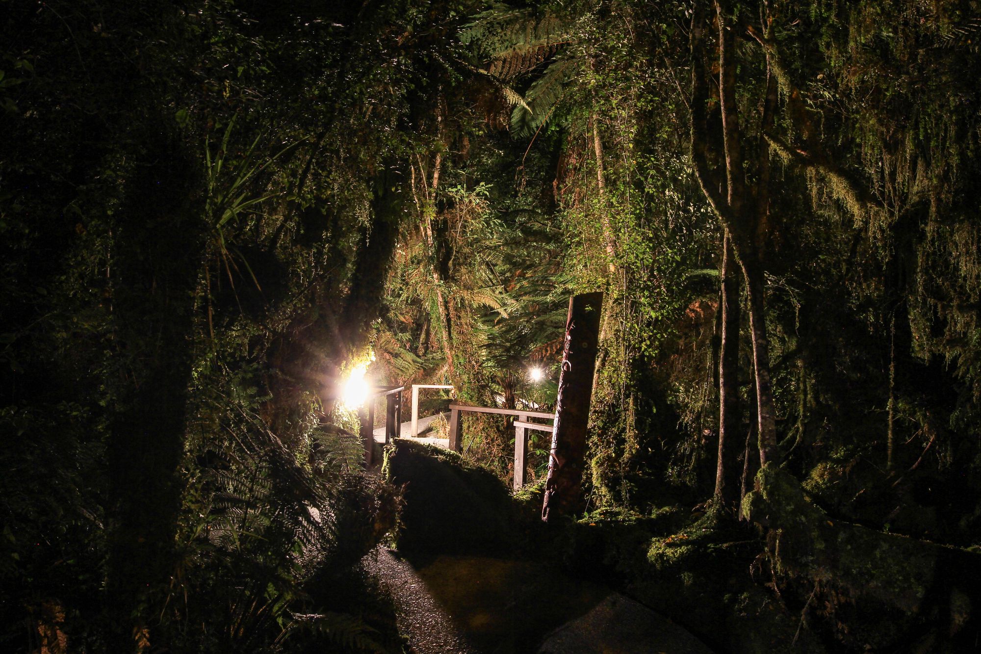 Rainforest Retreat